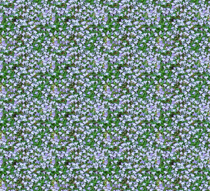 white and purple flower field painting