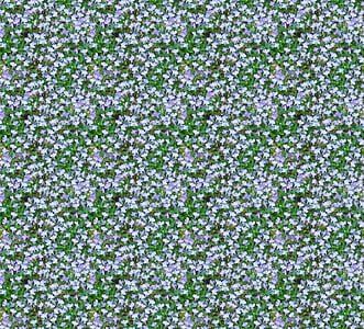 white and purple flower field painting