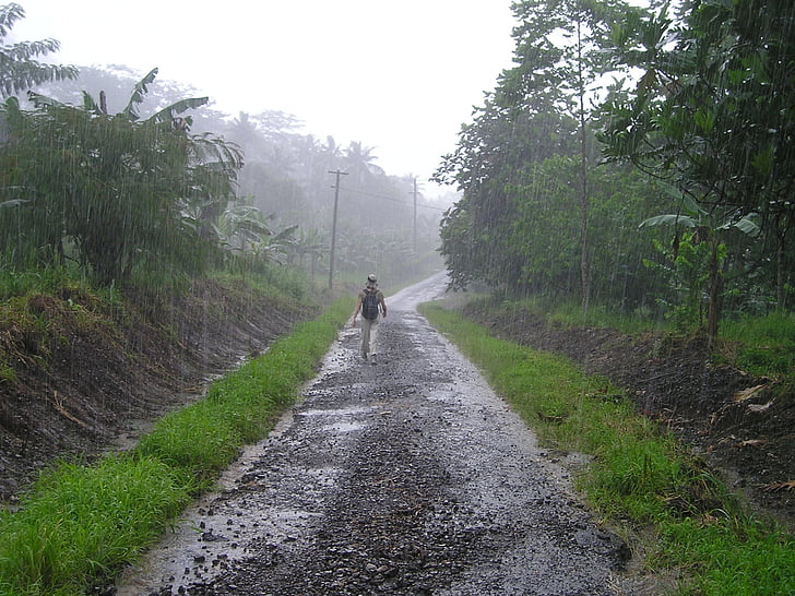 person walking between trees during rain