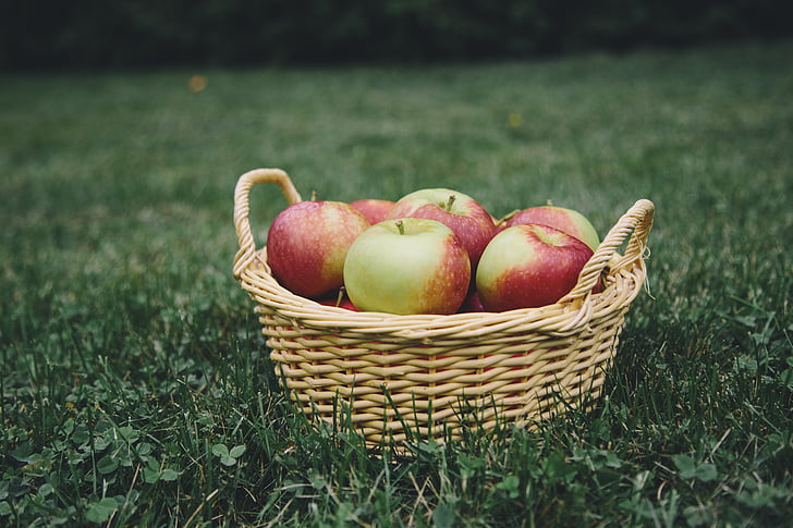 apple fruits in basket on lawn