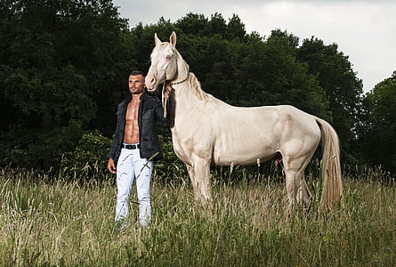 man standing near white horse on green grass field