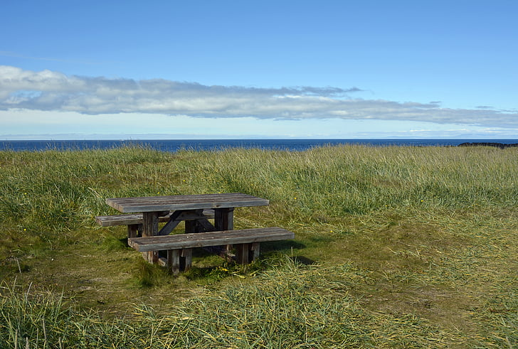 picnic bench surrounded by grassy field