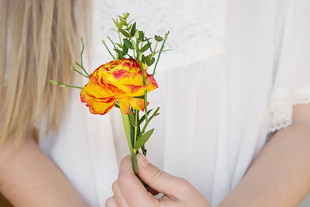 person holding red and yellow petaled flower
