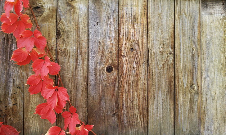 red vine on brown wooden pallet panel