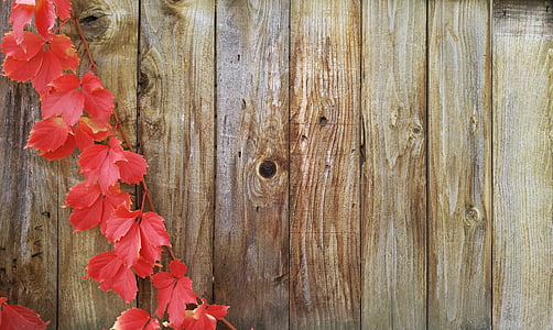red vine on brown wooden pallet panel