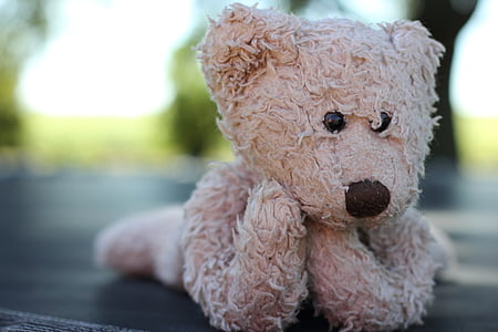 selective focus photography of lying bear plush toy