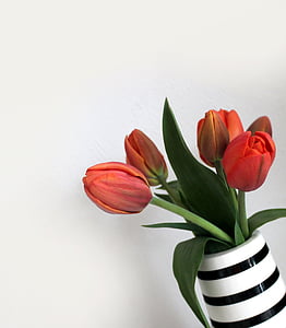 red tulips on white and black ceramic vase