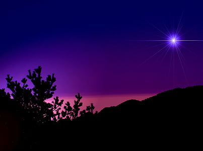 silhouette photo of trees under purple shining star