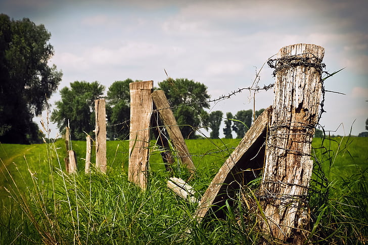 brown wooden posts with barbed wires on grassland
