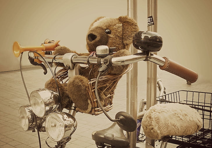 brown bear plush toy in bicycle basket