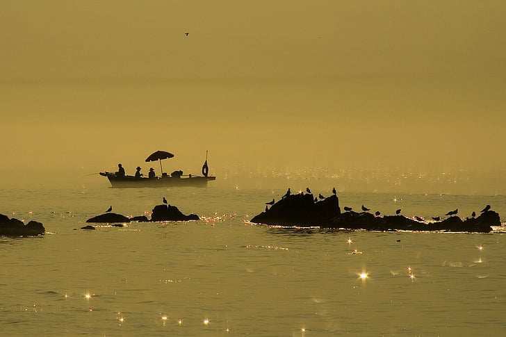 silhouette photo of birds on rock formation and boat