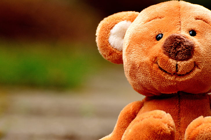 closeup photography of brown bear plush toy