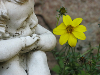white cherub statue near yellow petaled flower