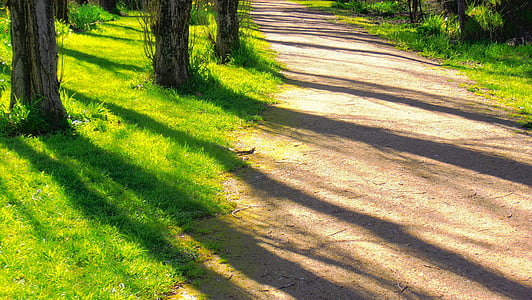 rough road between grasses and trees