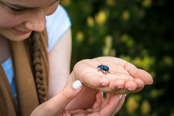 woman holding black bug near green bush during daytime