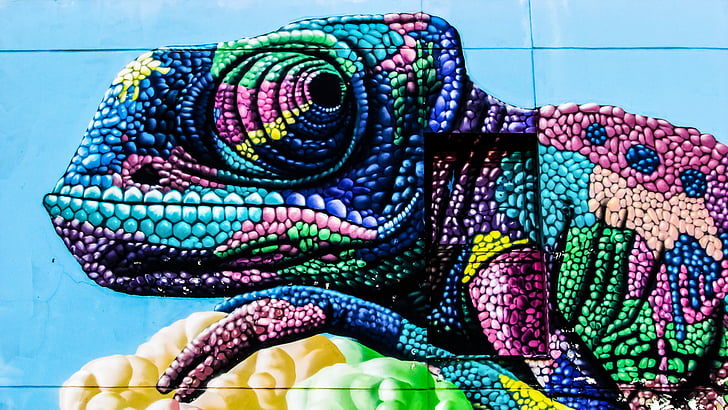 multicolored chameleon illustration