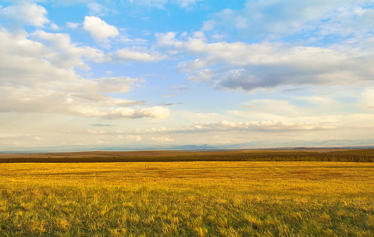 landscape photo of grass field