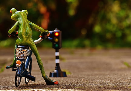 close-up photo of frog riding on bicycle near traffic light