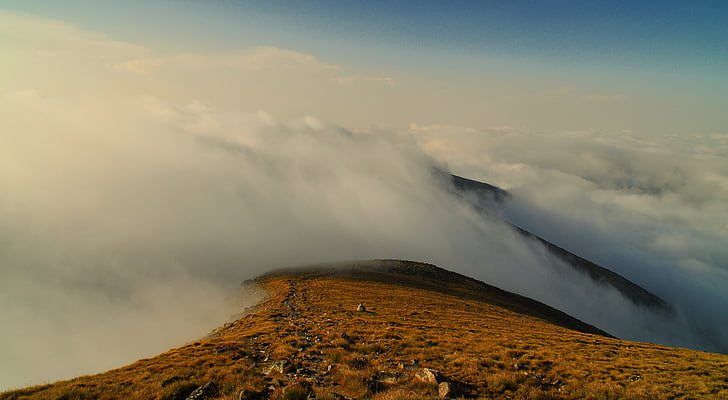 mountain coated with fogs