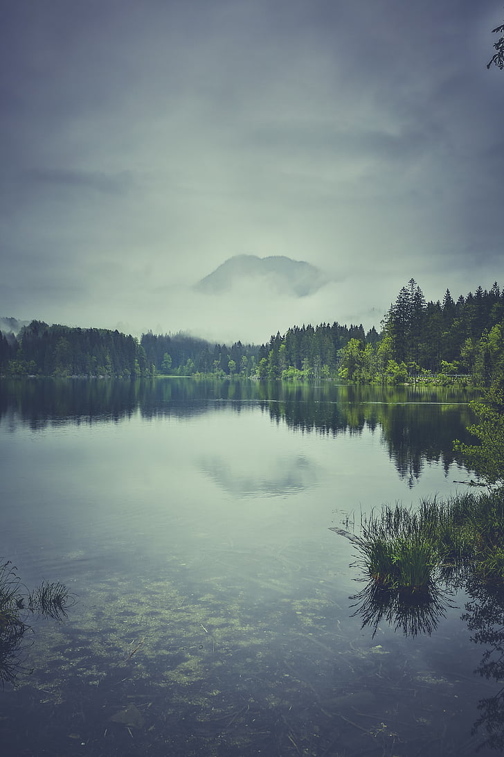lake surrounded by green trees under gray sky