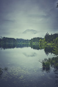 lake surrounded by green trees under gray sky
