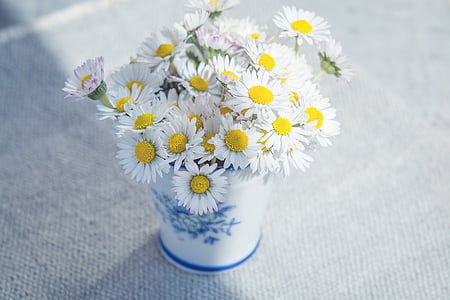 white petaled flower arrangement