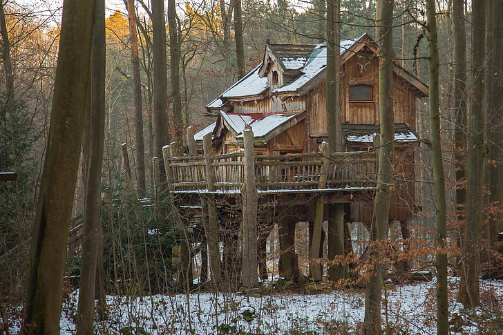 landscape photograph of tree house in forest