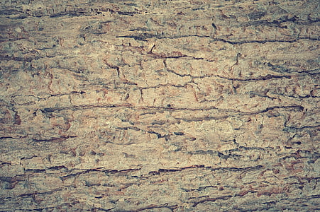beige wood wallpaper