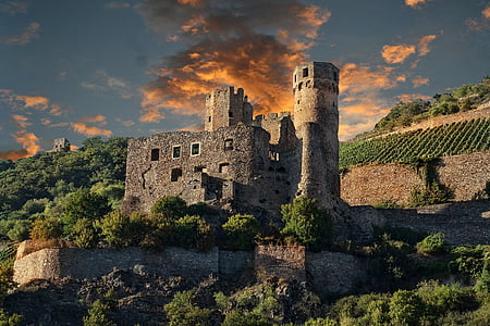 gray stone castle near green leaf tre