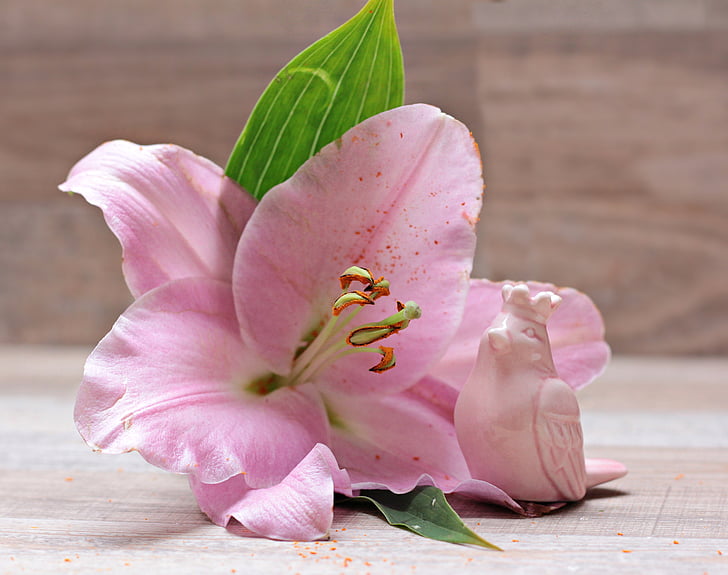 Pink lilies stock image. Image of petal, pistil, beautiful - 6137437