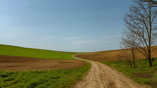 pathway in the middle of green plains