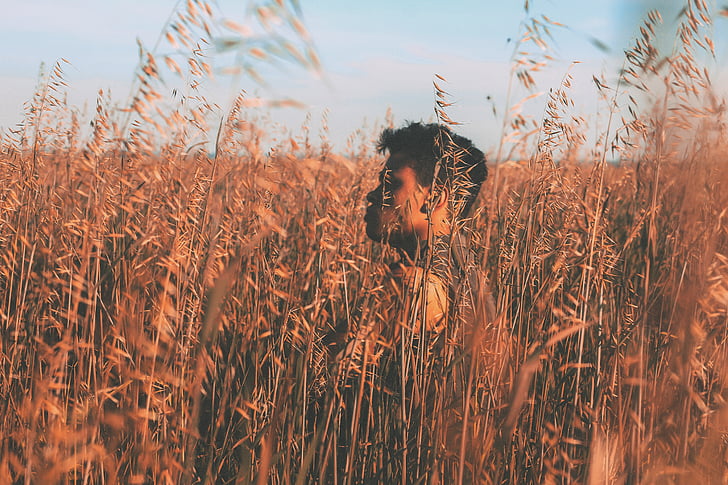 man walking in green wheat field