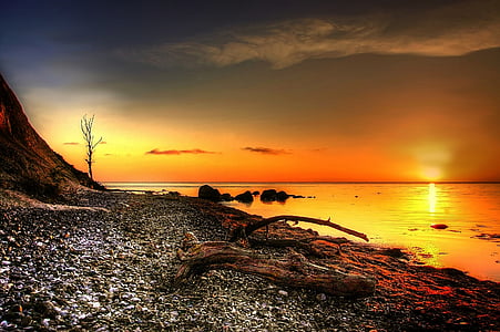 golden hour photo of seashore