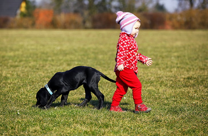 puppy and toddler on green grass field