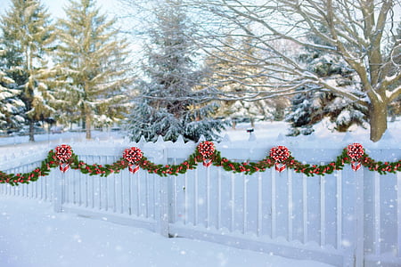 white wooden fence with snow near trees