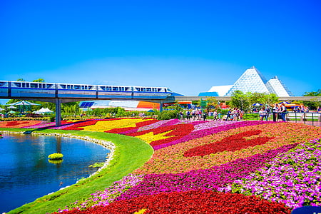 assorted-color flower field forming Mickey Mouse head beside body of water near white concrete building under blue sky