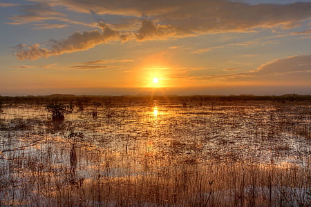 photo of brown grass field filled with water during golden hour