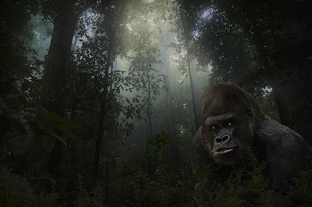 gorilla under green trees