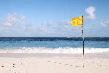 yellow flag in seashore photography