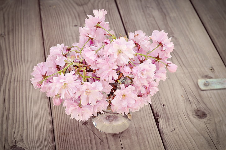 pink tree blossom flowers in clear glass vase on brown wooden surface