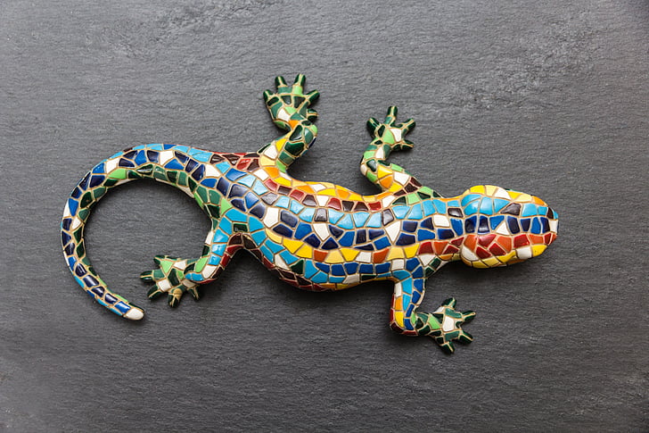 multicolored lizard