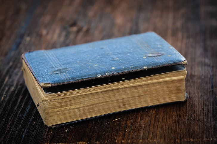 blue hard cover book on brown wooden surface