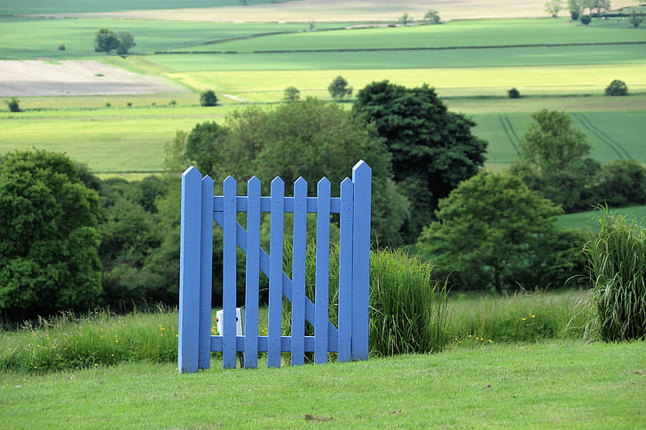 blue wooden fence on grass field during daytime