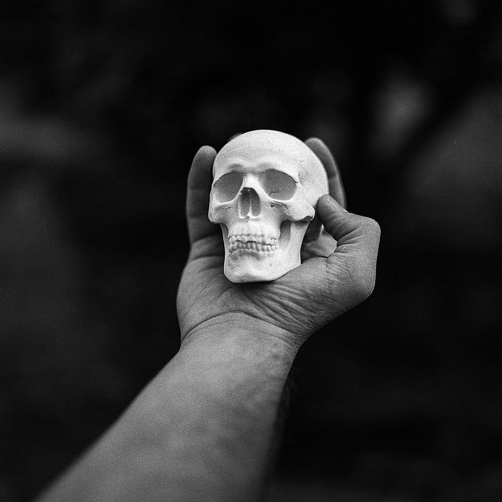 person holding human skull miniature