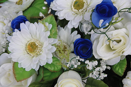 white and blue flower arrangement