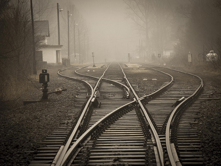photo of foggy train railway near bare trees