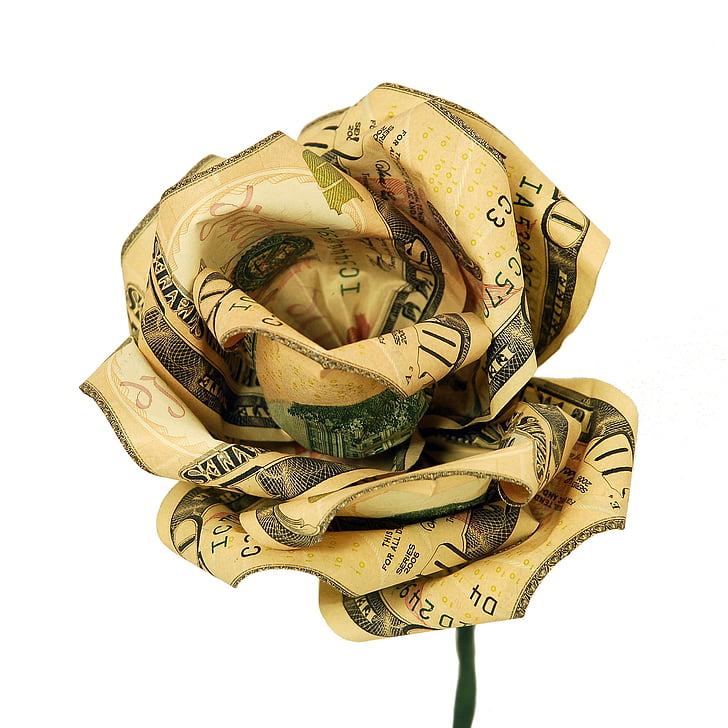 U.S. dollar rose flower