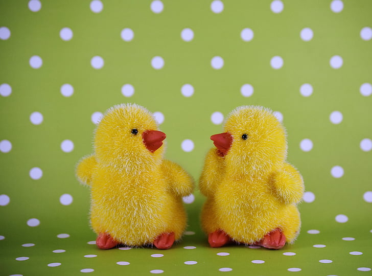two yellow chicks plush toys