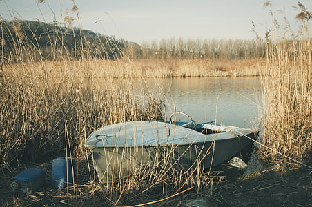 gray motorboat near lake