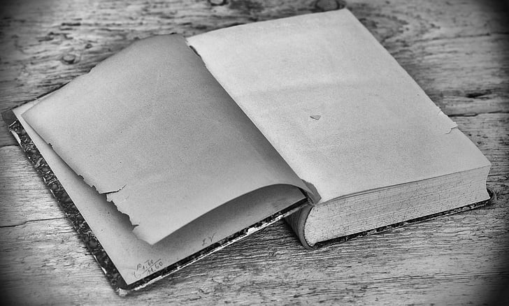 grayscale photo of book